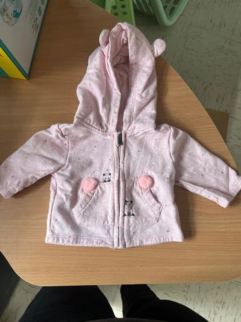 Lot 2 gilets zippe