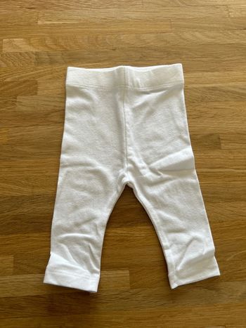 Legging