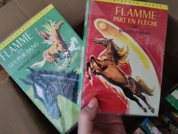 Bibliothèque Verte : Flamme (en lot ou à l’unité)
