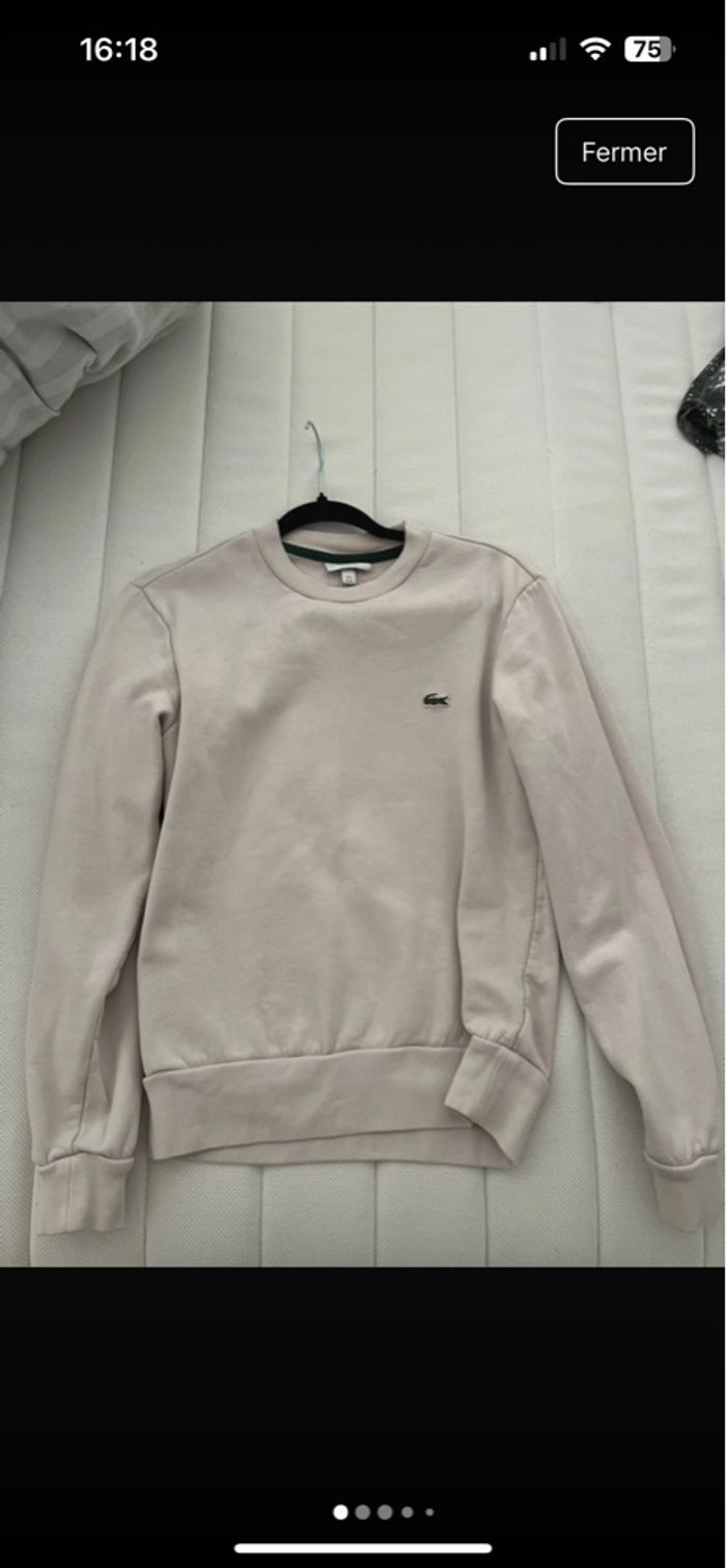 Pull Lacoste homme
