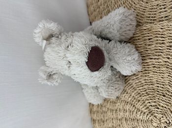 Teddykompaniet Chien Teddy Crème Beige