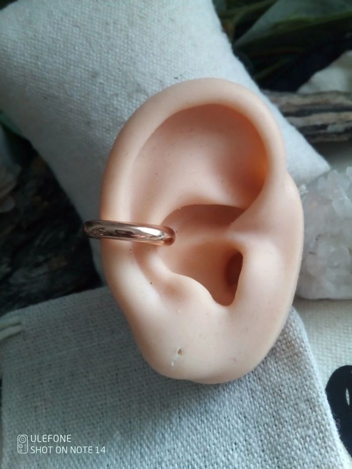 Boucles d'oreilles cartilage