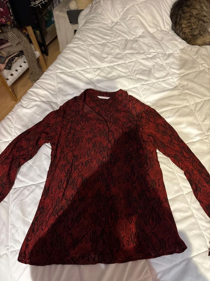 Chemise - photo numéro 4