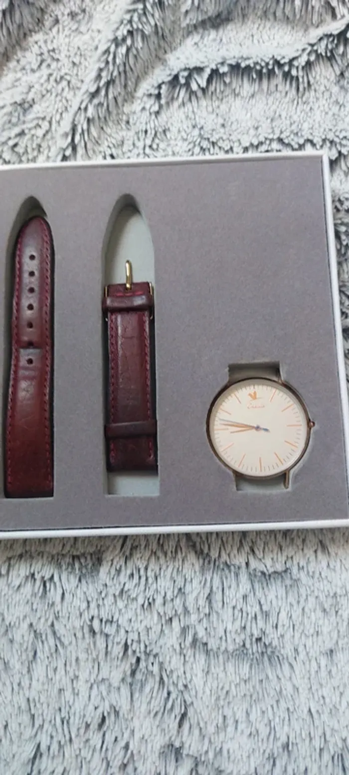 Montre Charlie