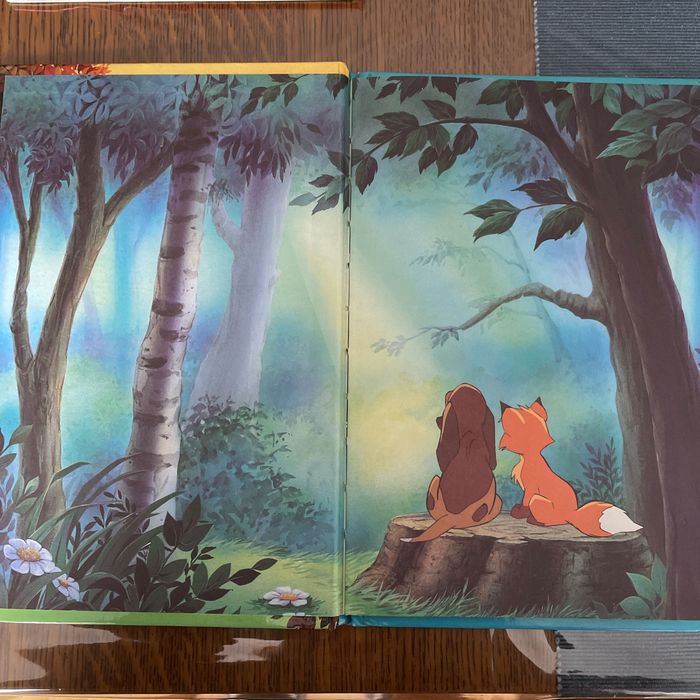 Disney Rox et Rouky - photo numéro 3