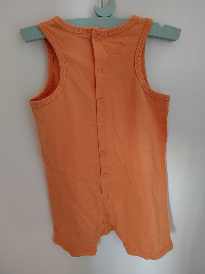 Barboteuse sergent major - photo numéro 3