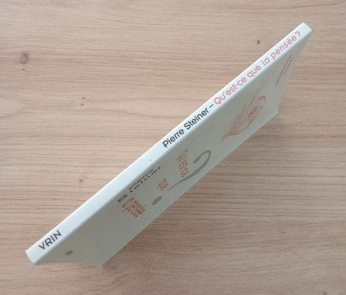 Pierre Steiner 🫧 Qu'est-ce que la pensée ? - photo numéro 3