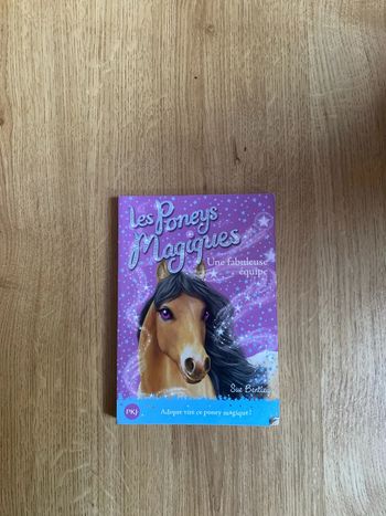 Livre les poneys magique