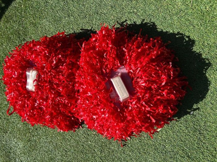 1 paire de pompons américains