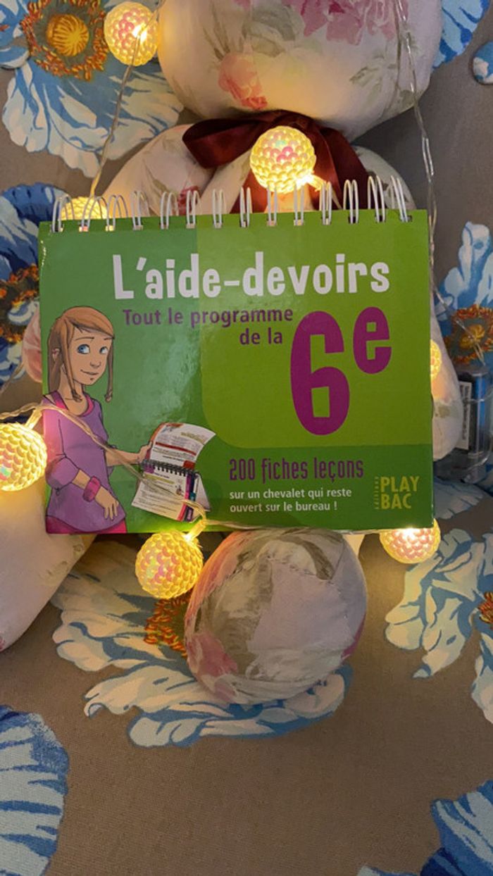 Aide aux devoirs - photo numéro 2