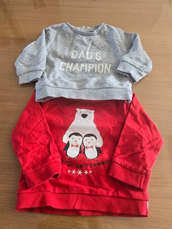 Lot 2 sweat 12 mois