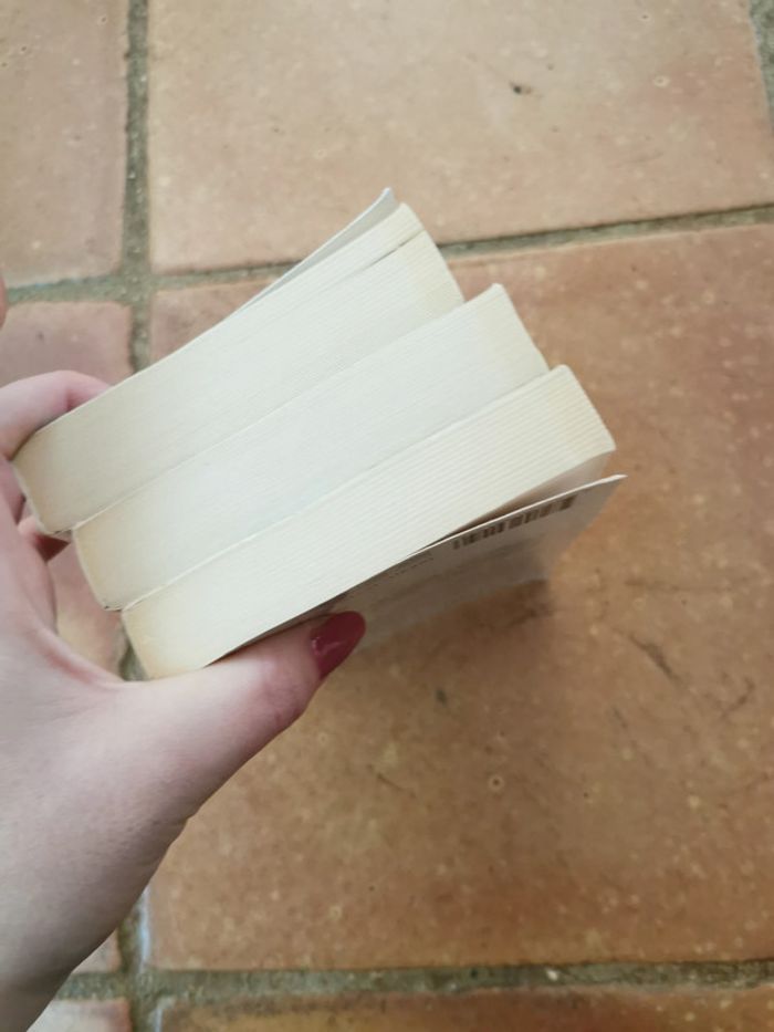 Lot de 3 tomes Famille Logan, livres de Virginia C. Andrews - photo numéro 8