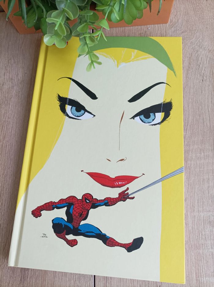 Bande dessinée Album Marvel Comics Spider-Man - Bleu - Panini