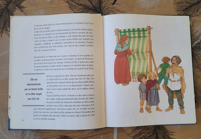 Au temps des gaulois Françoise Lebrun, Ginette Hoffmann (Illustrations) - photo numéro 3