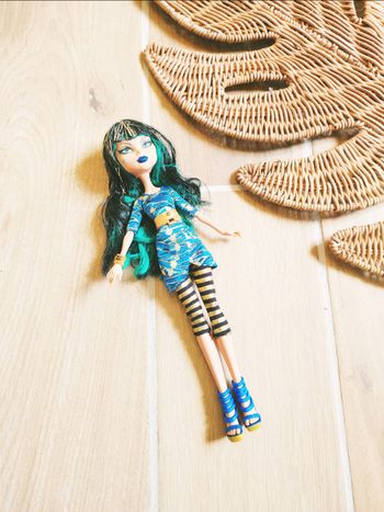 🦇Poupée Monster high Cleo de Nile picture day marque Mattel