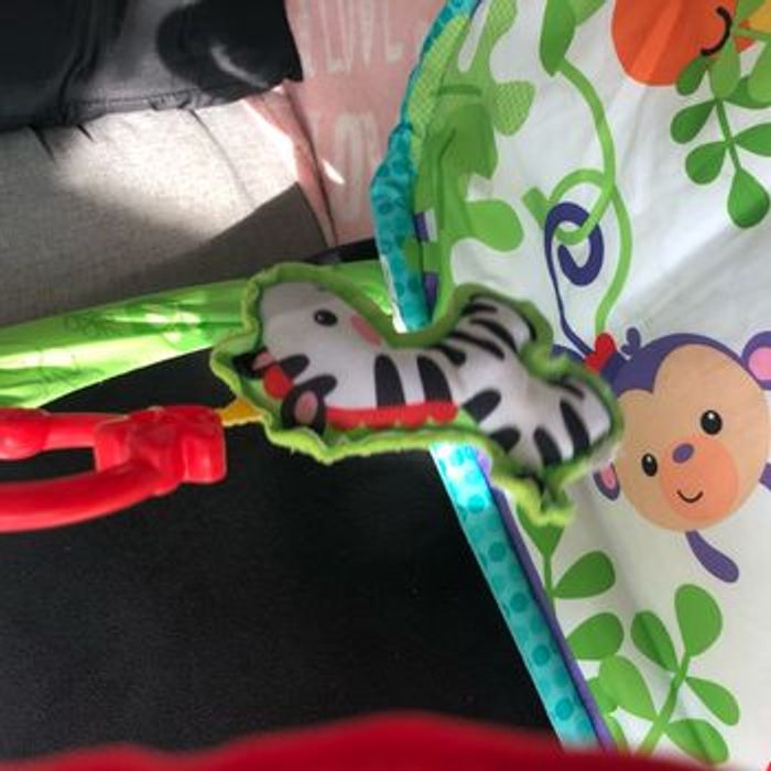 Tapis d’éveil Fisher price - photo numéro 9