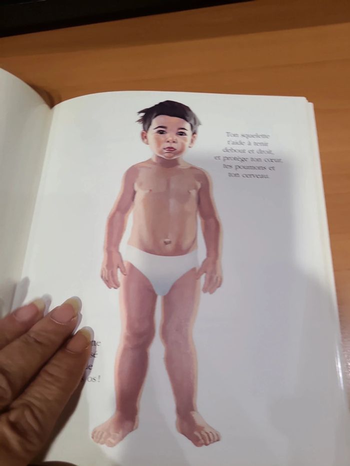 Cache cache avec corps humain - photo numéro 15