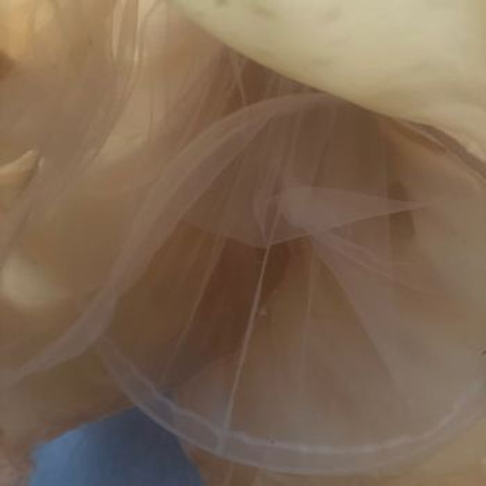 La Belle et la Bête – Costume Disney Store (10 Ans) - photo numéro 2