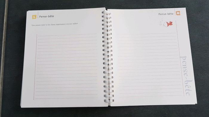 Livre "votre grossesse semaine après semaine" agenda Chantecler - photo numéro 5