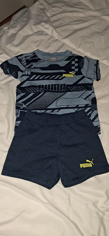 Ensemble puma
