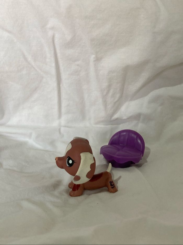 lps teckel rare - photo numéro 5