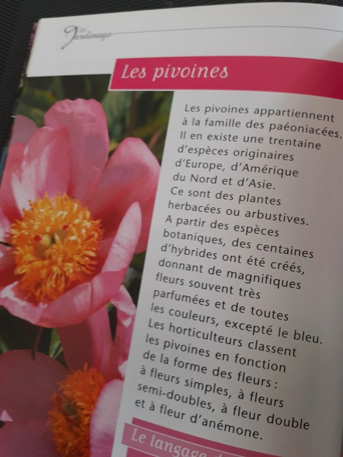 Le jardinage  simple et pratique - photo numéro 7