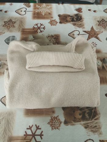 Pull femme. Taille XS. Marque Primark 