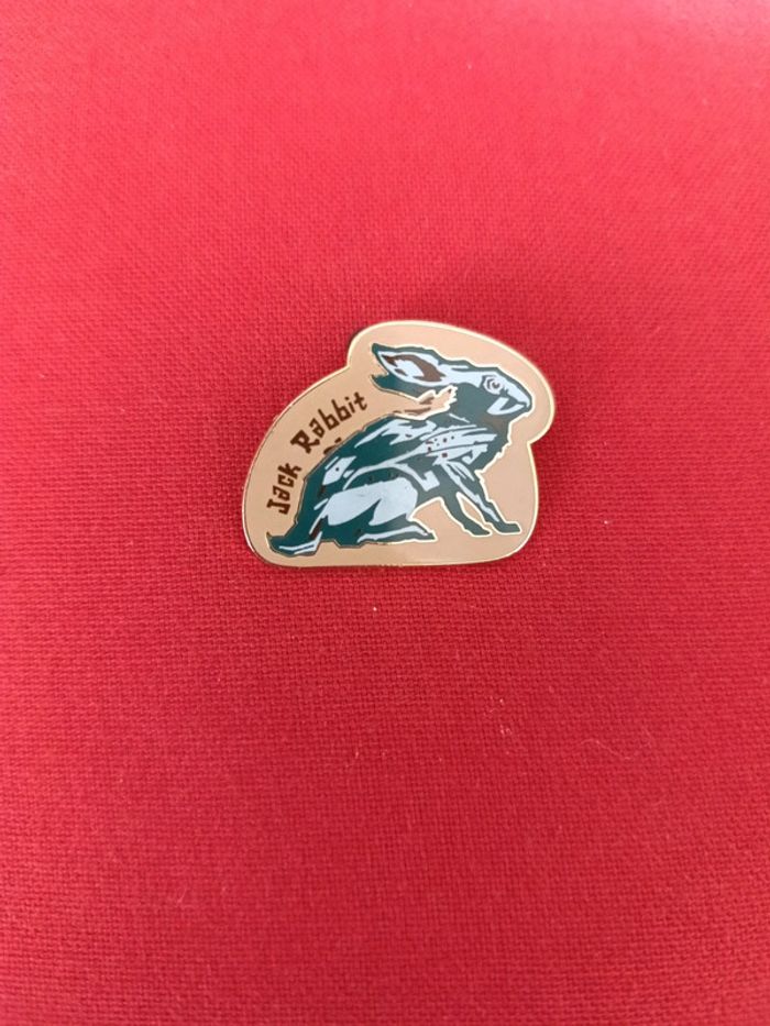 Pin's California exclusive Disney