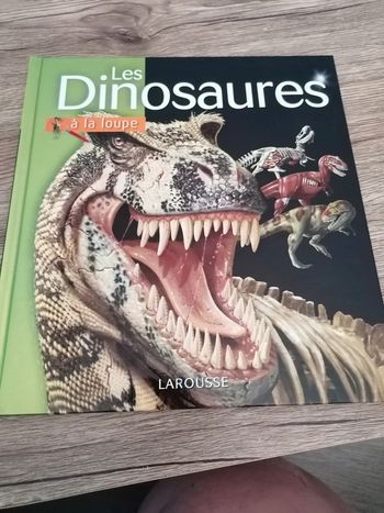 Livre dinosaure