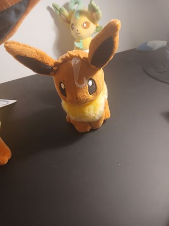 Peluche Evoli