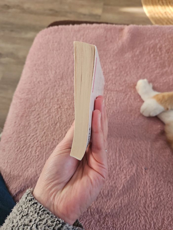 Livre - photo numéro 6