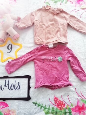 Lot 2 sweats 9 mois fille