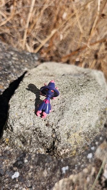 Super petite figurine Pokemon Nintendo Magireve