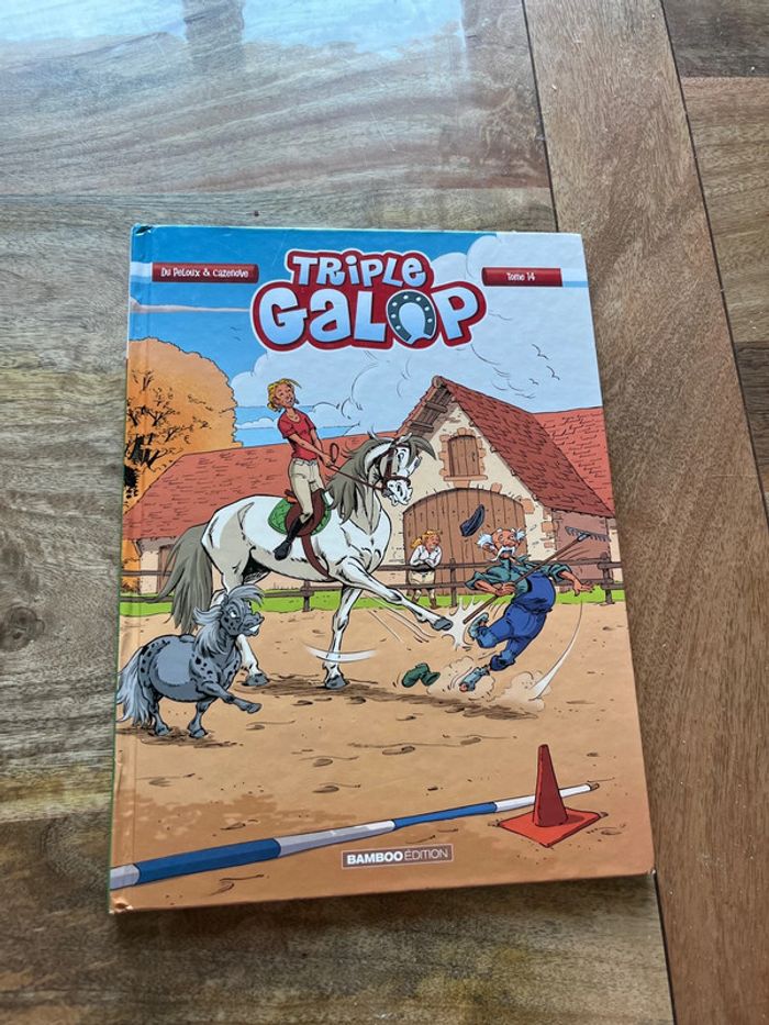 Lot livres thème chevaux/équitation - photo numéro 4