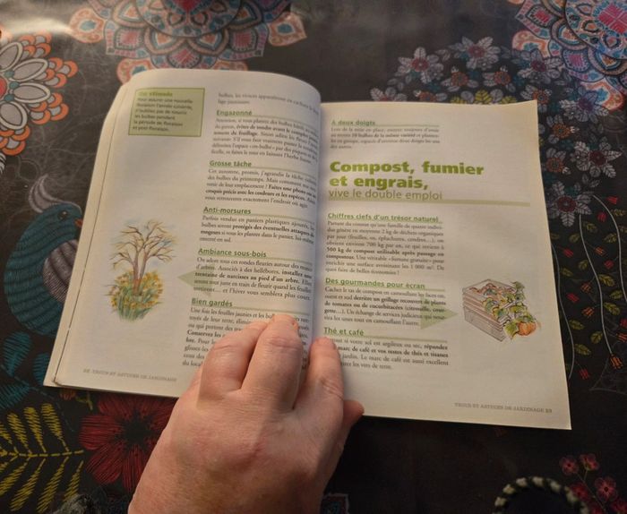 Trucs et astuces de jardinage - photo numéro 2