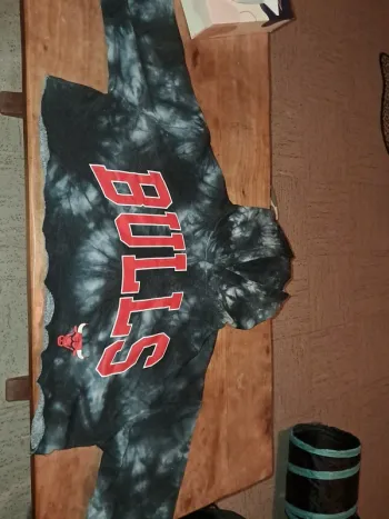 Sweat Chicago bulls