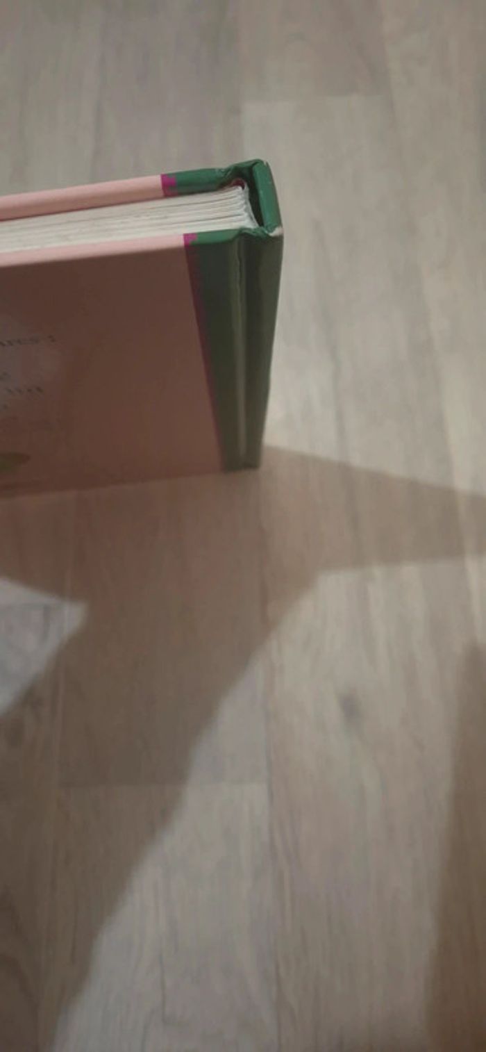 Livre - les plus belles histoires de Franklin - volume 3 - photo numéro 6