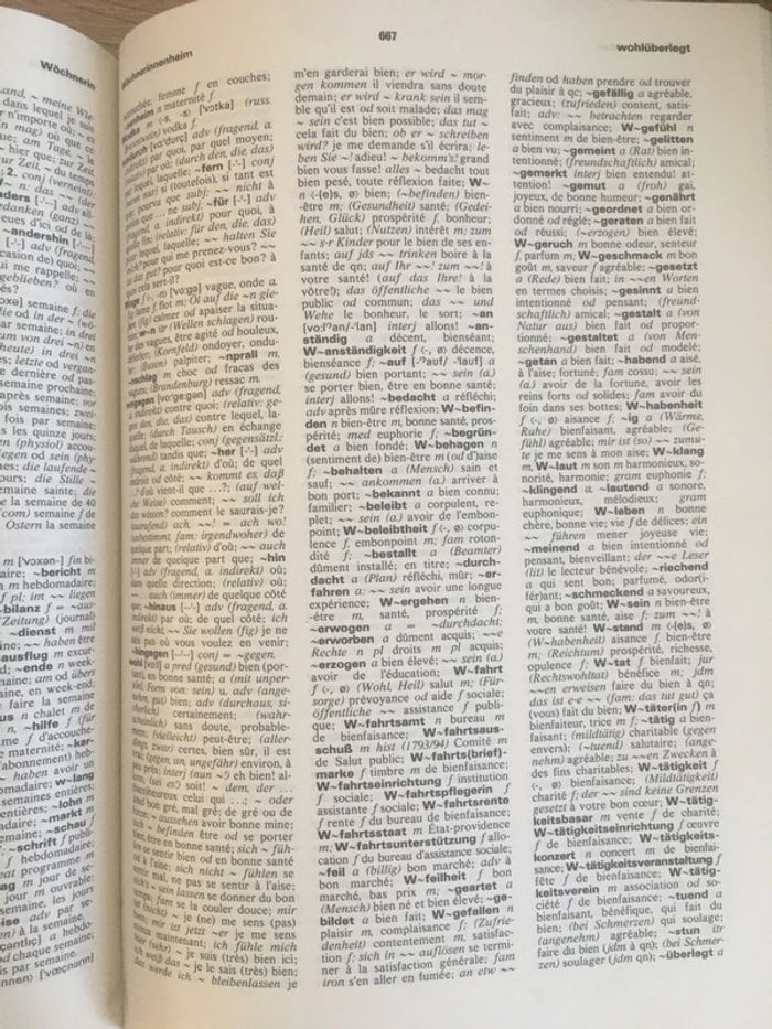 Vend dictionnaire français allemand - photo numéro 3