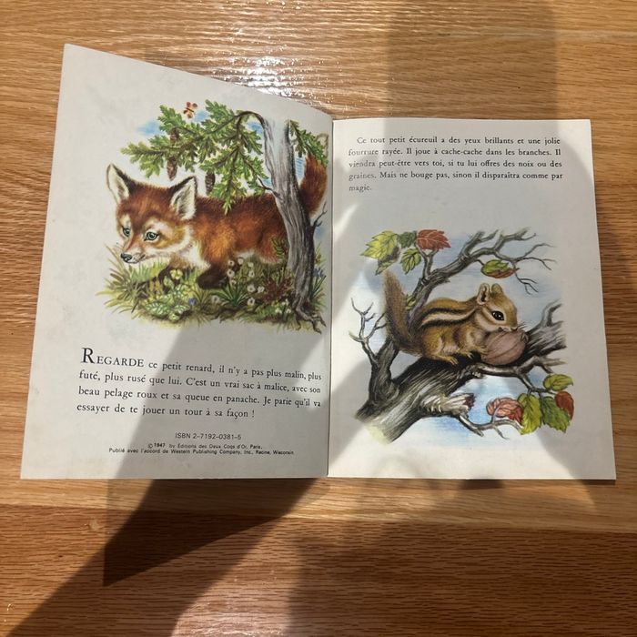 Les animaux tout petits - photo numéro 3