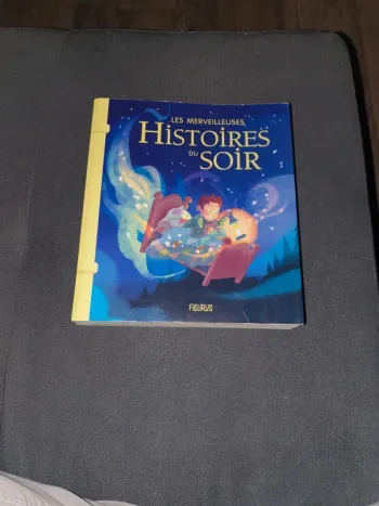 Livre histoire du Soir Fleurus