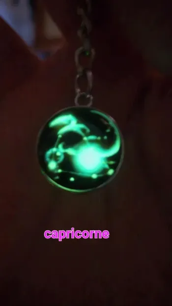 Porte-clés signe astrologique capricorne constellations