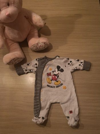 Grenouillère mickey