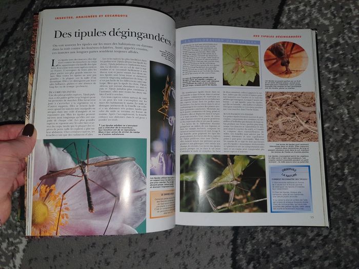 Livre "La vie cachée des jardins" - photo numéro 8