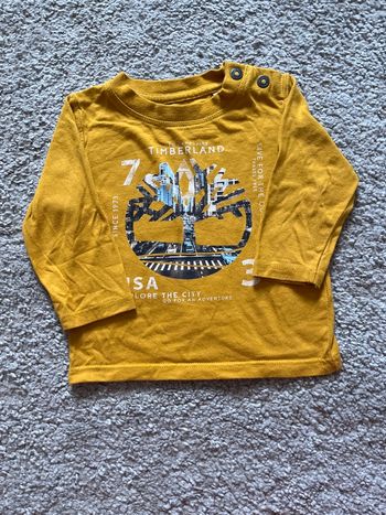T shirt timberland bebe