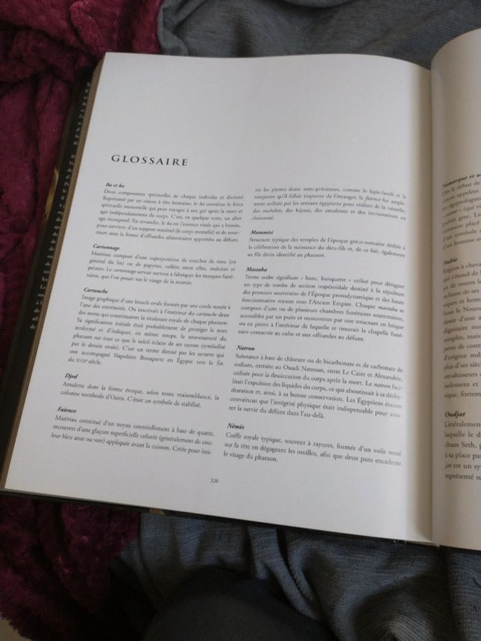 Très beau livre hommage à l'Égypte de Sandro vannini - photo numéro 17
