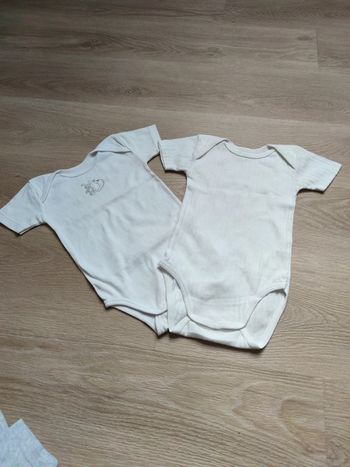 Lot de 2 bodies manches courtes 2 ans