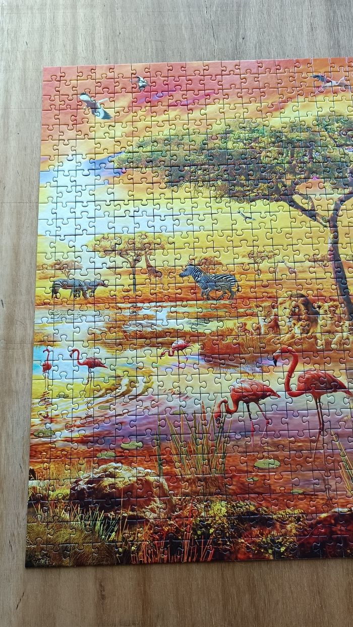 Puzzle Savane 🦁🦓 - photo numéro 3
