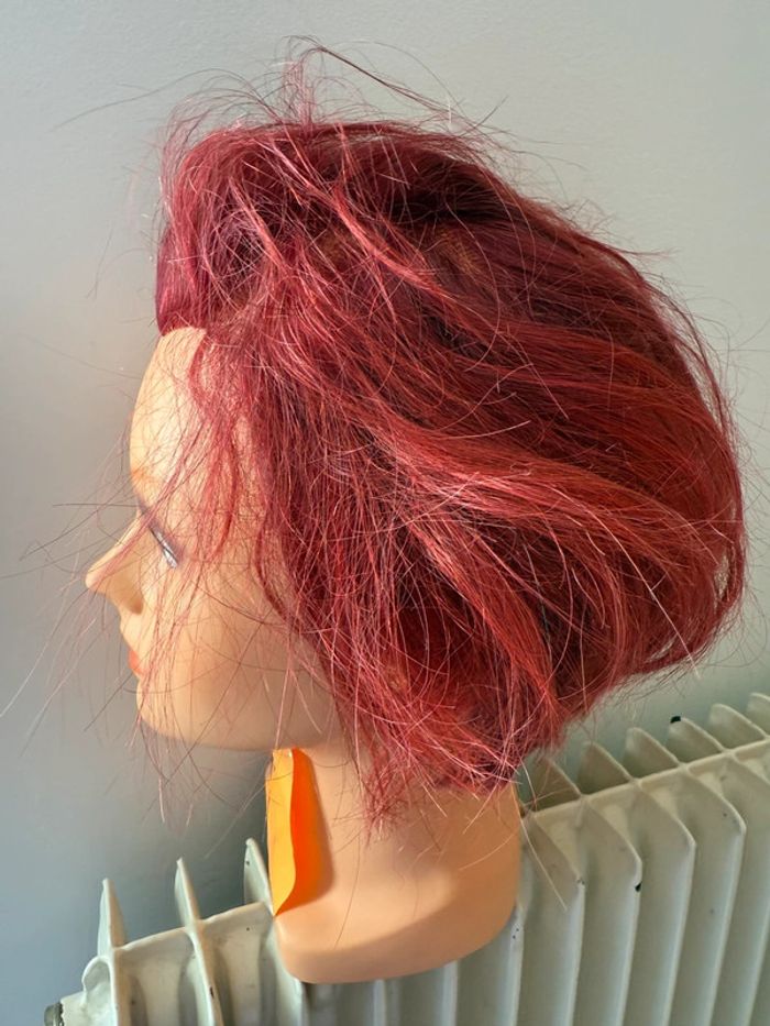 Tête malléable professionnelle Raphael Perrier - Cheveux Colorés (Rouge/Bourgogne) - photo numéro 4