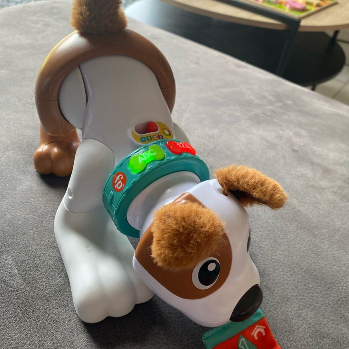 Chien rampant Fisher Price - photo numéro 2