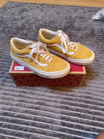 Basket Van’s